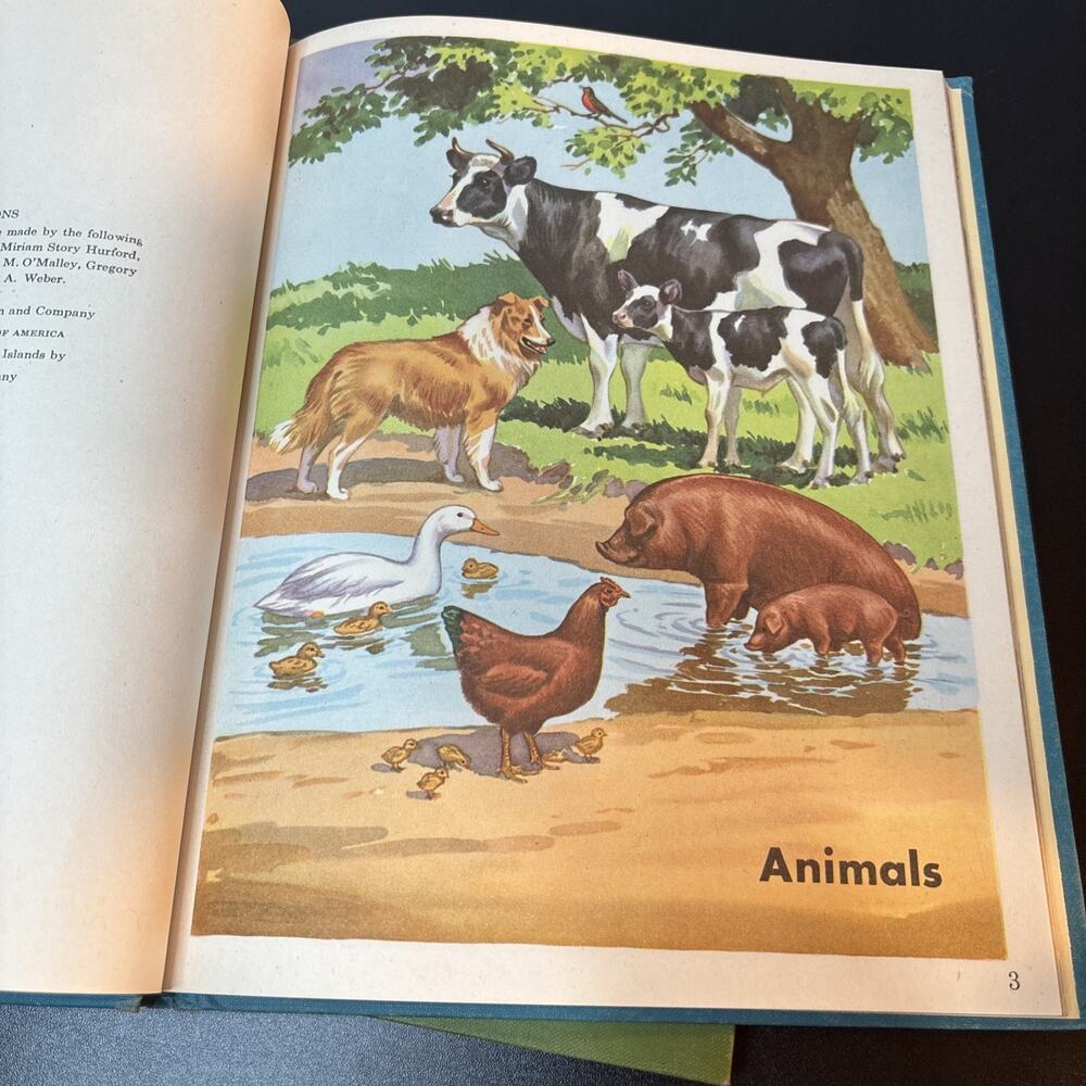 Look And Learn - All Around Us - Teachers Edition By Scott Foresman And Company - Picture 6 of 13